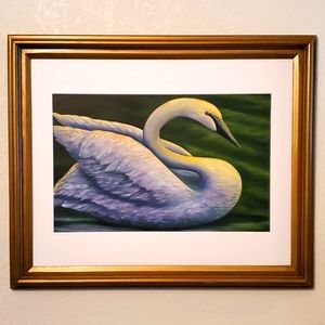 Origional Art Oil Painting 'Trumpet Swan'  by artist